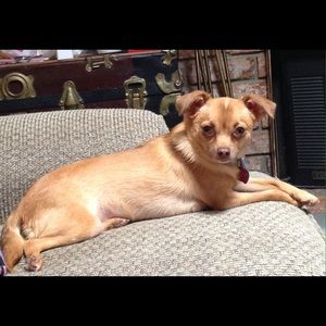 Meet your Posher, Lisa